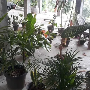 Holiday home Fortress, Kandy
